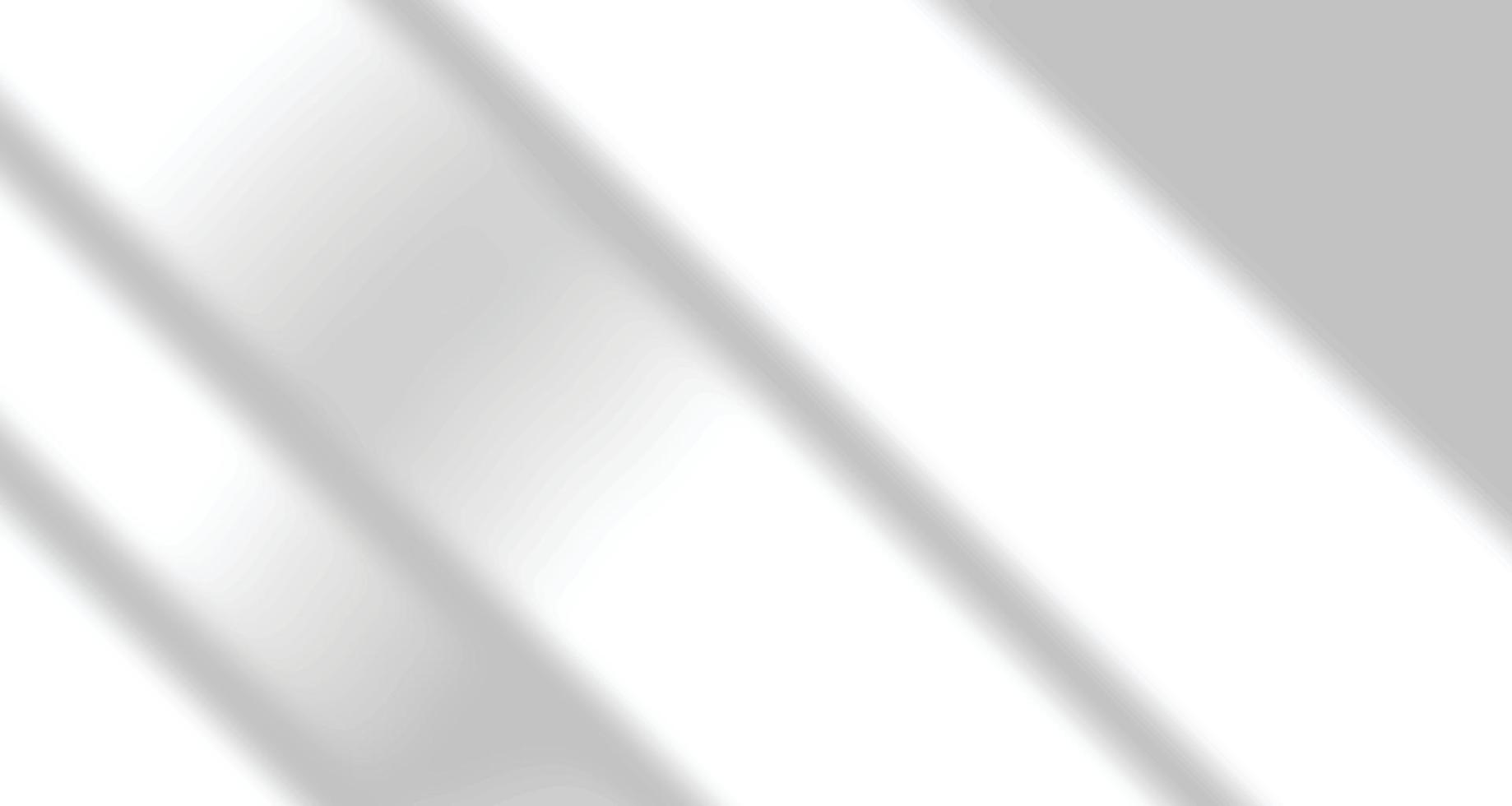 Realistic blurred natural light windows, palm leaves shadow overlay on wall paper or frames texture, abstract background, summer, spring, autumn for product presentation podium and mockup seasonal vector