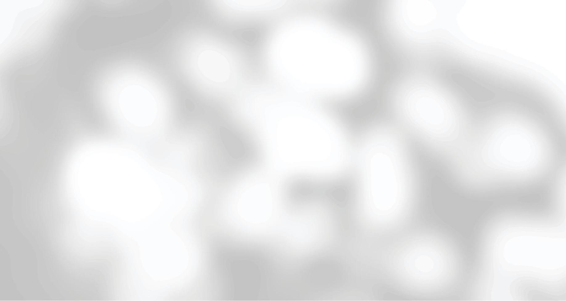 ventanas de luz natural borrosas realistas, superposición de sombras de hojas de palma en papel de pared o textura de marcos, fondo abstracto, verano, primavera, otoño para podio de presentación de productos y maqueta estacional vector