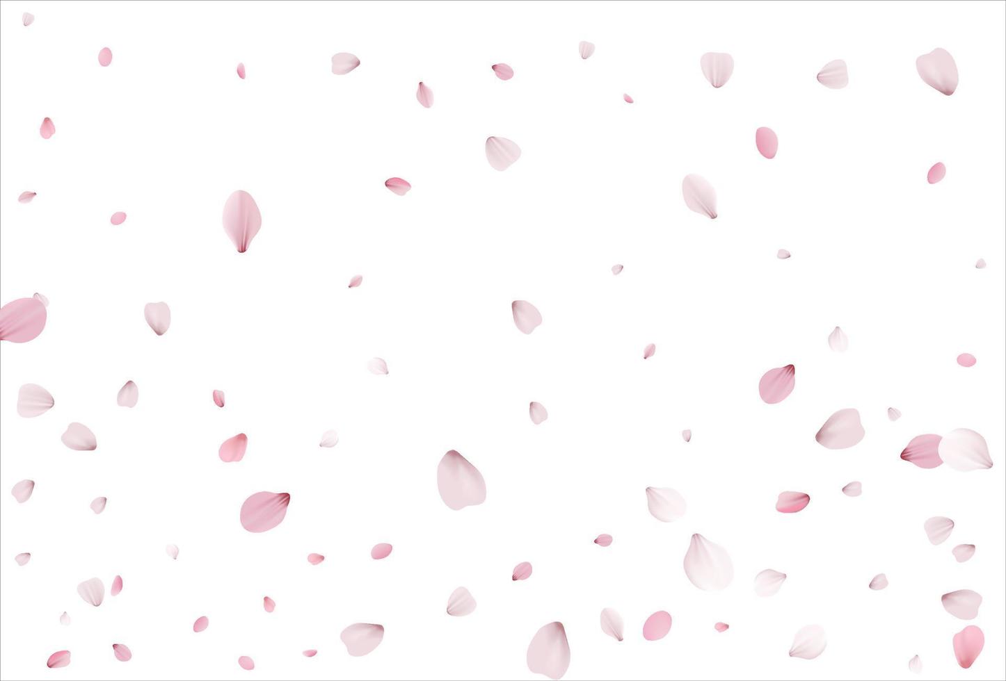 Sakura petals background. Cherry petals backdrop vector