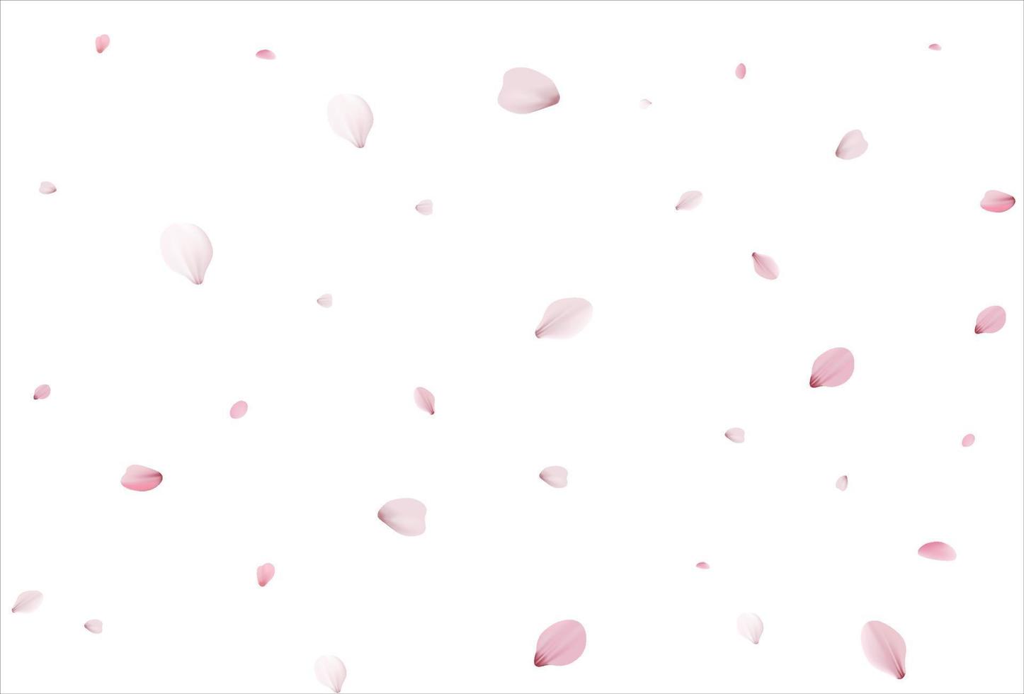 Cherry petals backdrop. Sakura petals background. vector