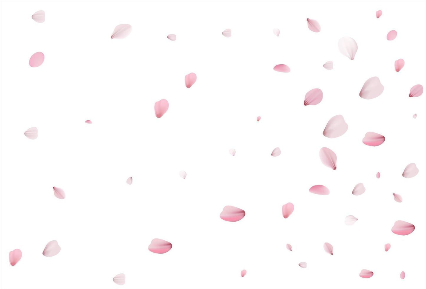 Cherry petals backdrop. Sakura petals background. vector