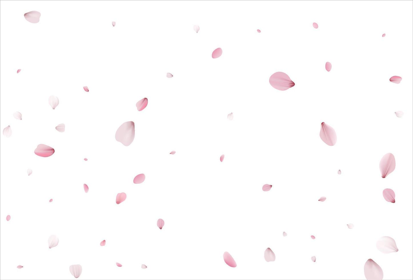 Sakura petals background. Cherry petals backdrop vector