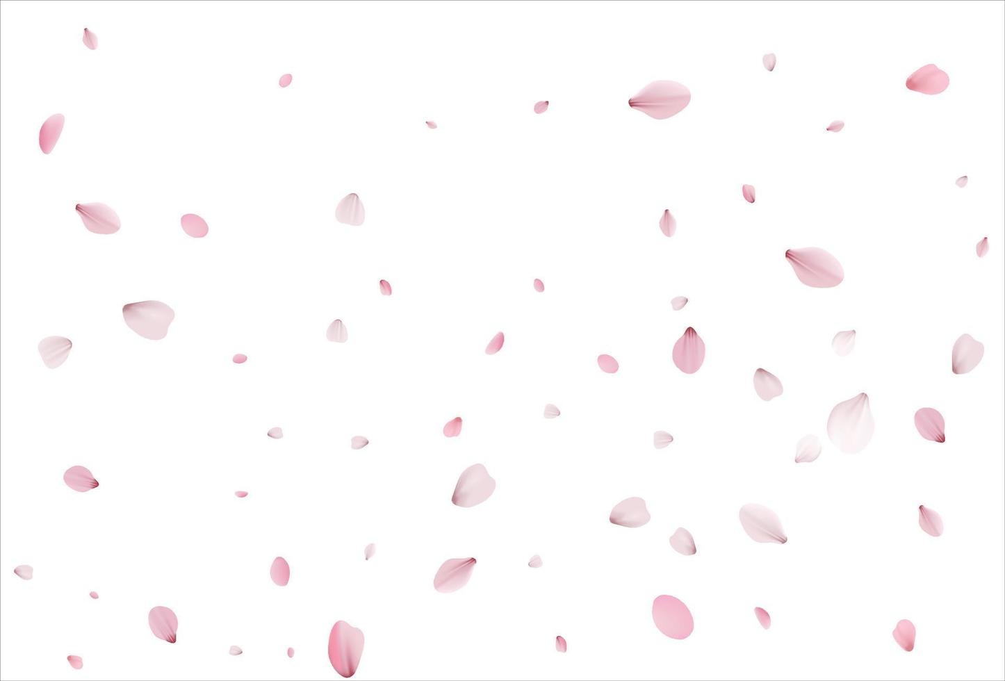 fondo de pétalos de sakura. telón de fondo de pétalos de cereza vector