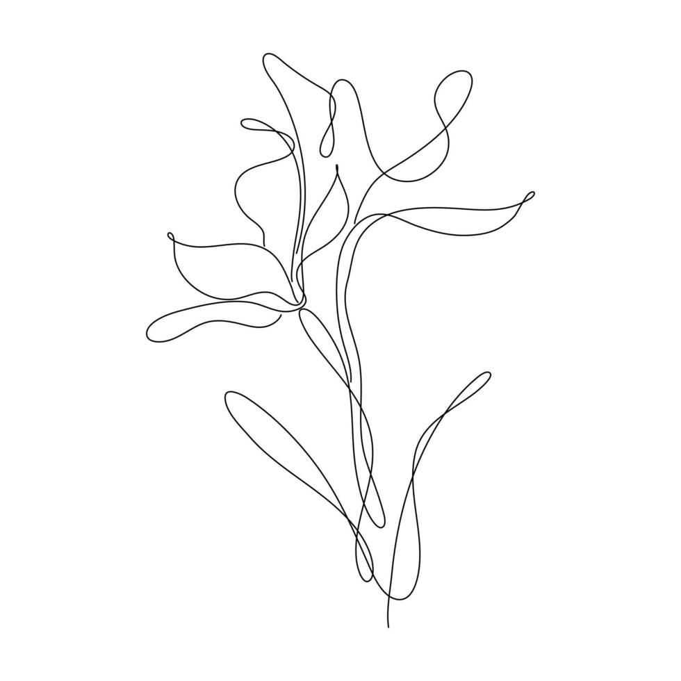 flor abstracta lirio una línea arte dibujo singulart estética minimalista vector aislado fondo blanco, perfecto para impresión, decoración de pared, caja del teléfono, camisa, pegatina, almohada, acrílico, frontera, papel pintado