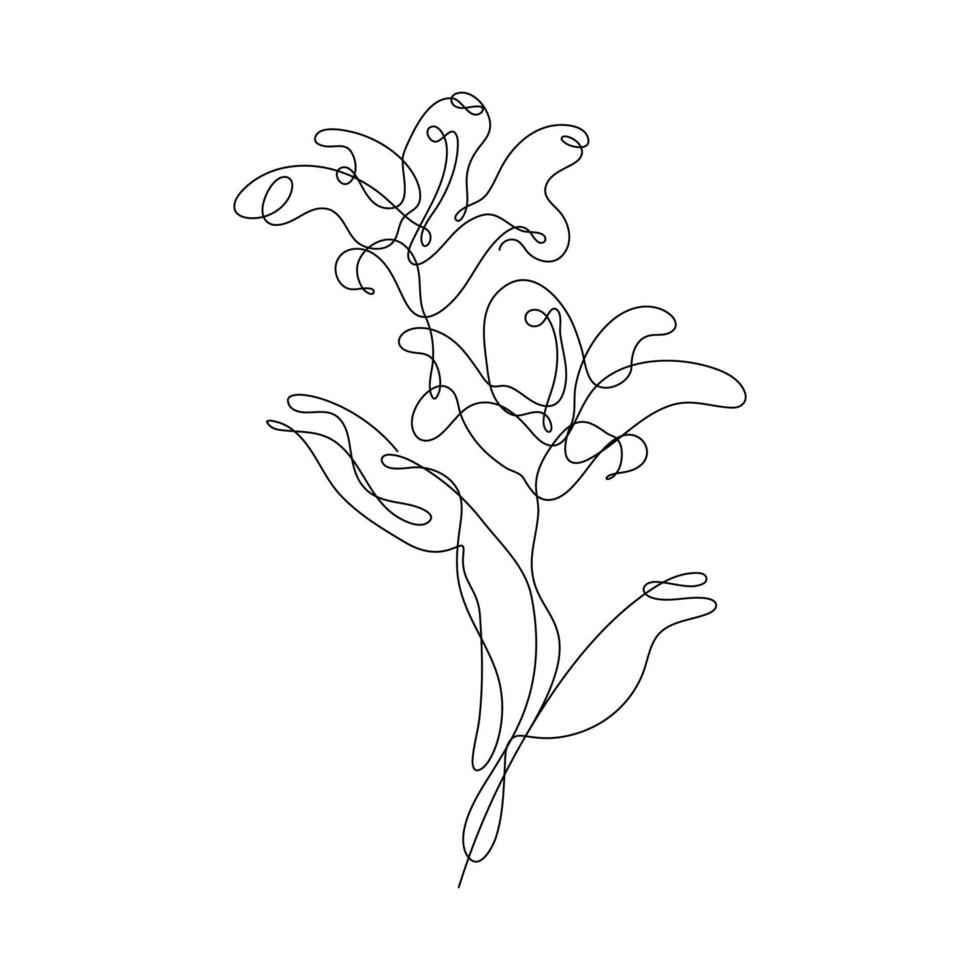 Abstract Flower Lily one line art drawing singulart aesthetic minimalist vector Isolated white background, Perfect for print, wall decor, phone case, shirt, sticker, pillow, acrylic, border, wallpaper