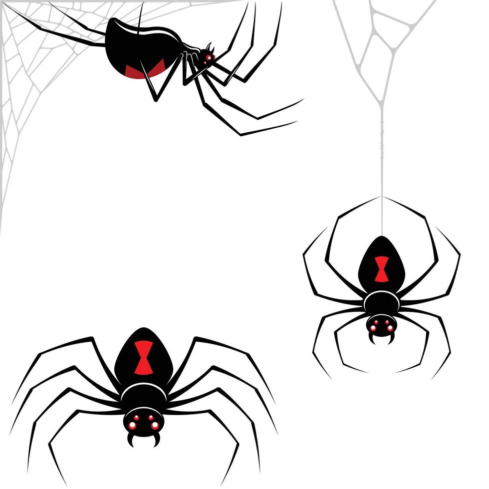 Design Spider Latrodectus mactans vector