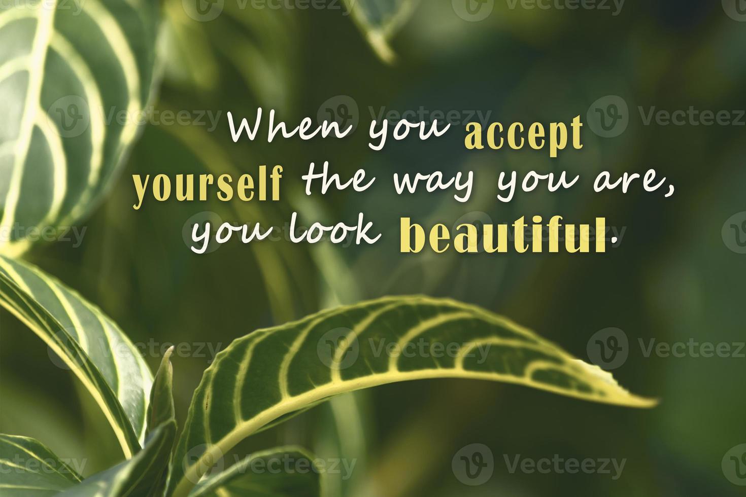 Motivational quote with fresh green nature and blurred leaf background. photo