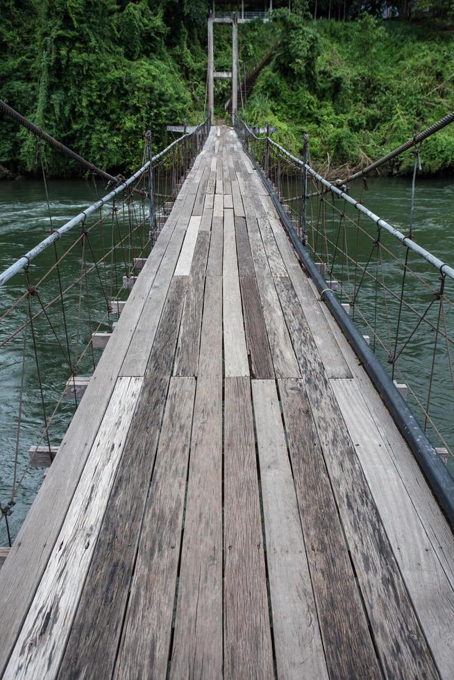 puente a la jungla foto