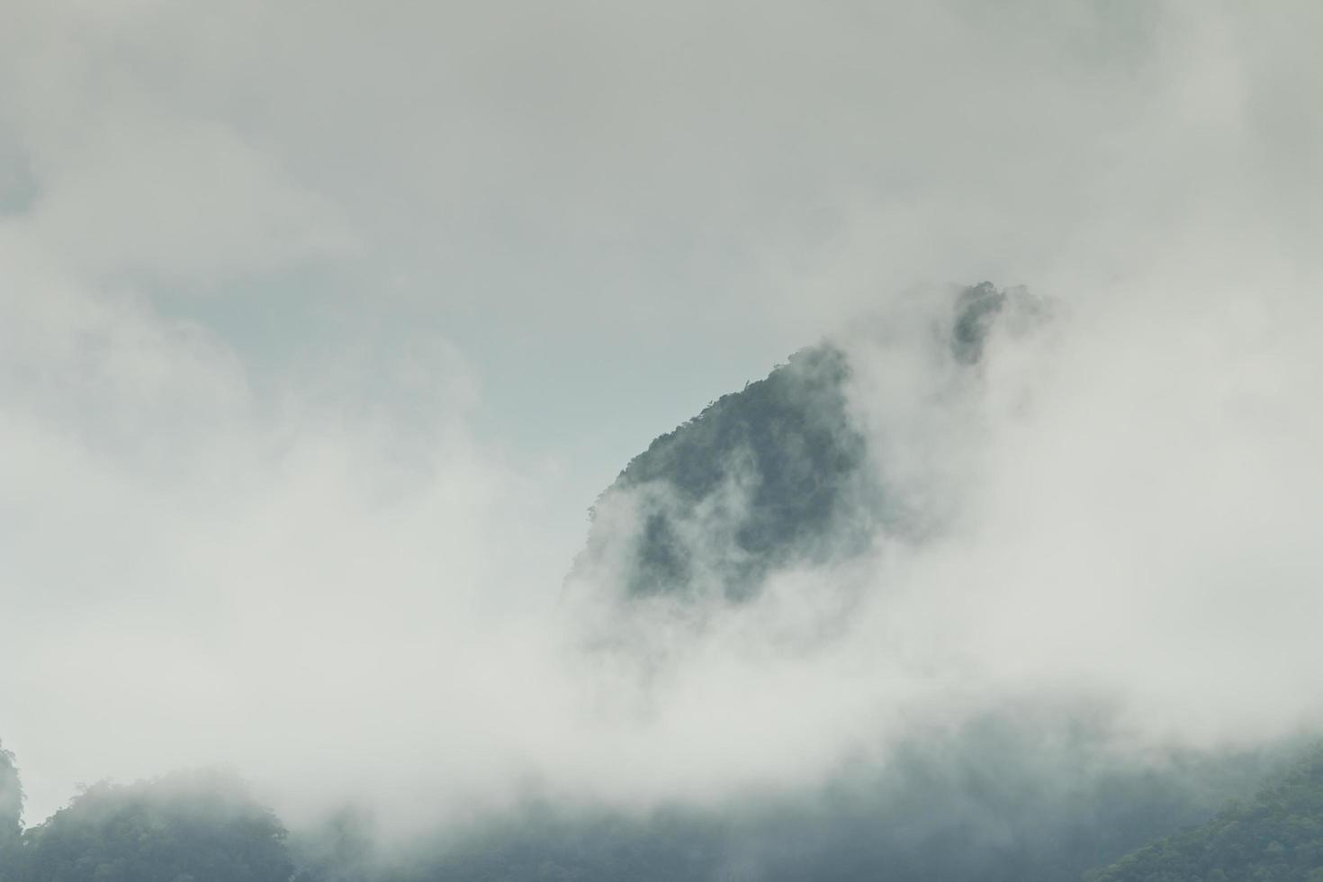 beautiful mountain scenery ,forest and misty photo