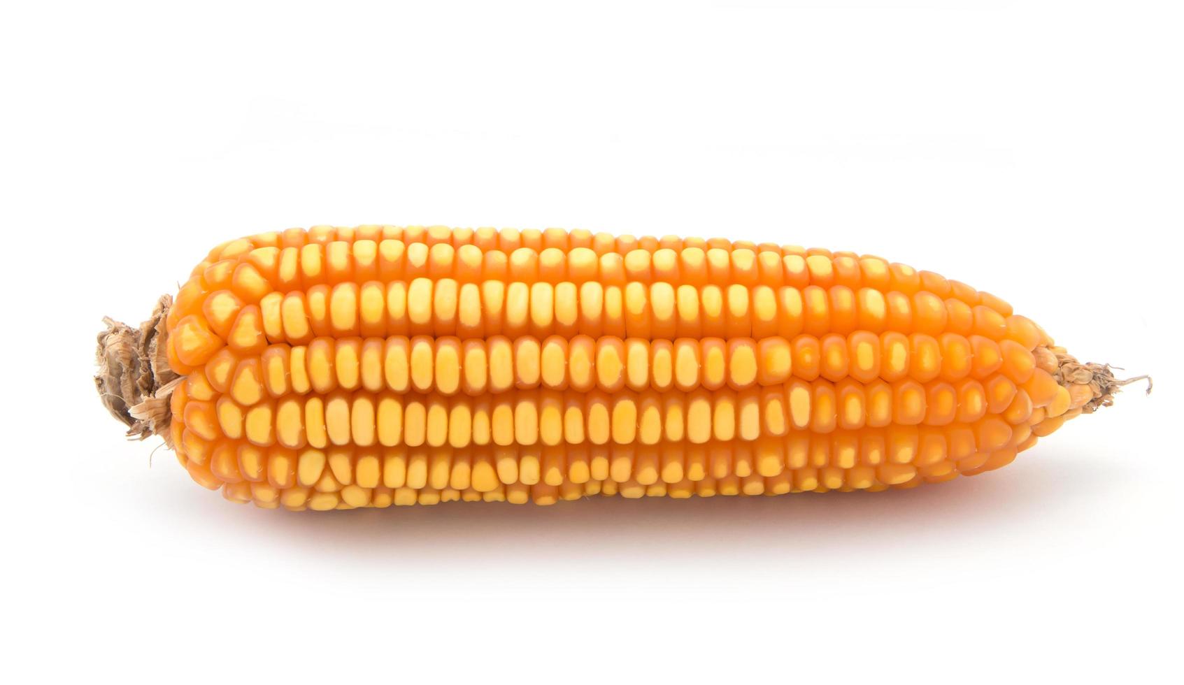 primer plano de maíz de grano sobre un fondo blanco foto