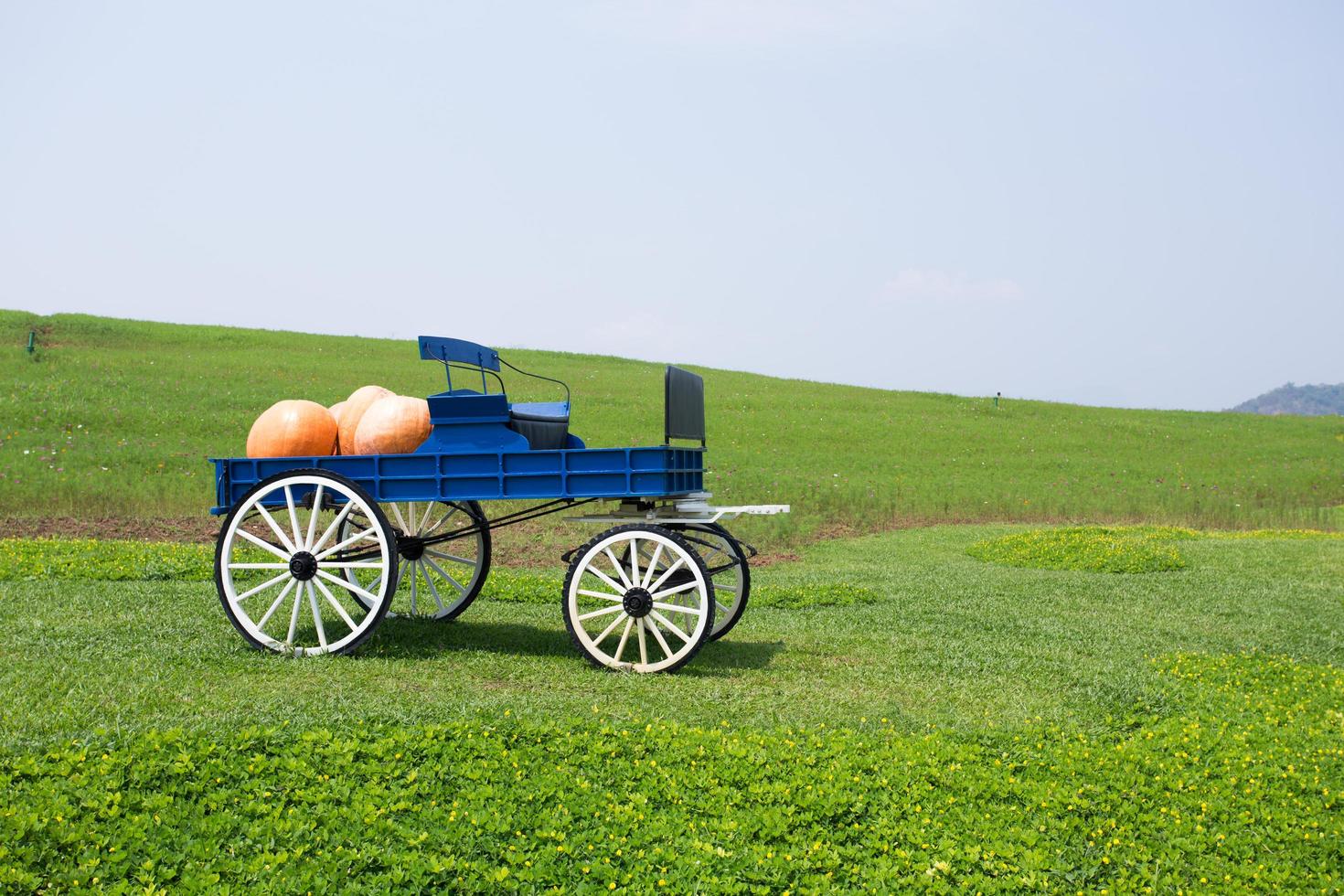 wagon full of pumpkins in farm photo