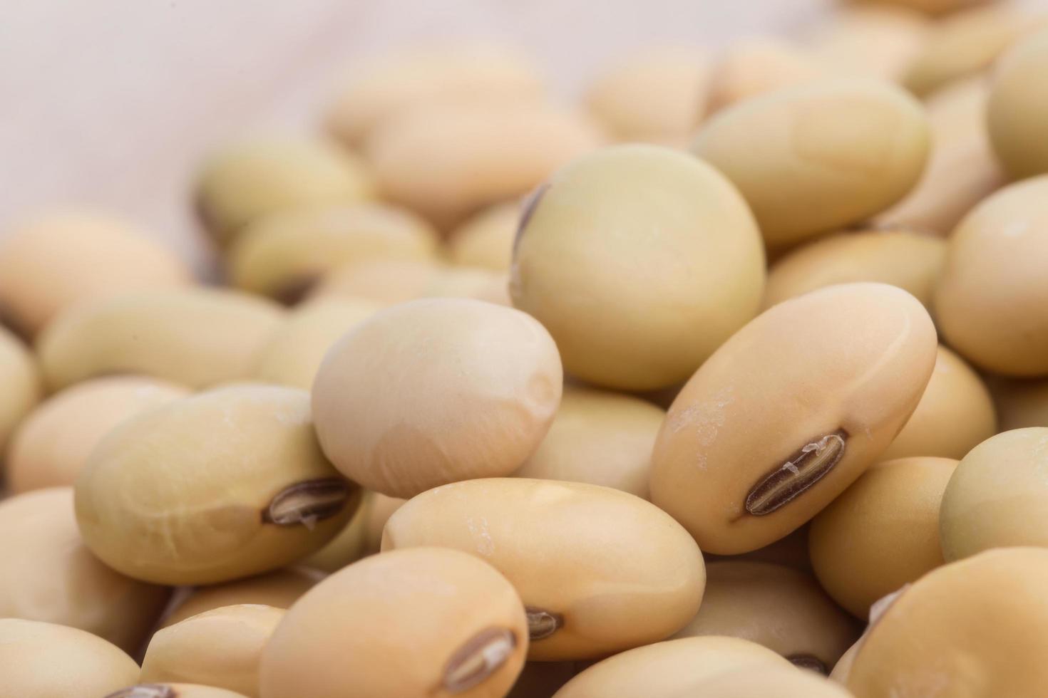 Soy beans on wood background photo