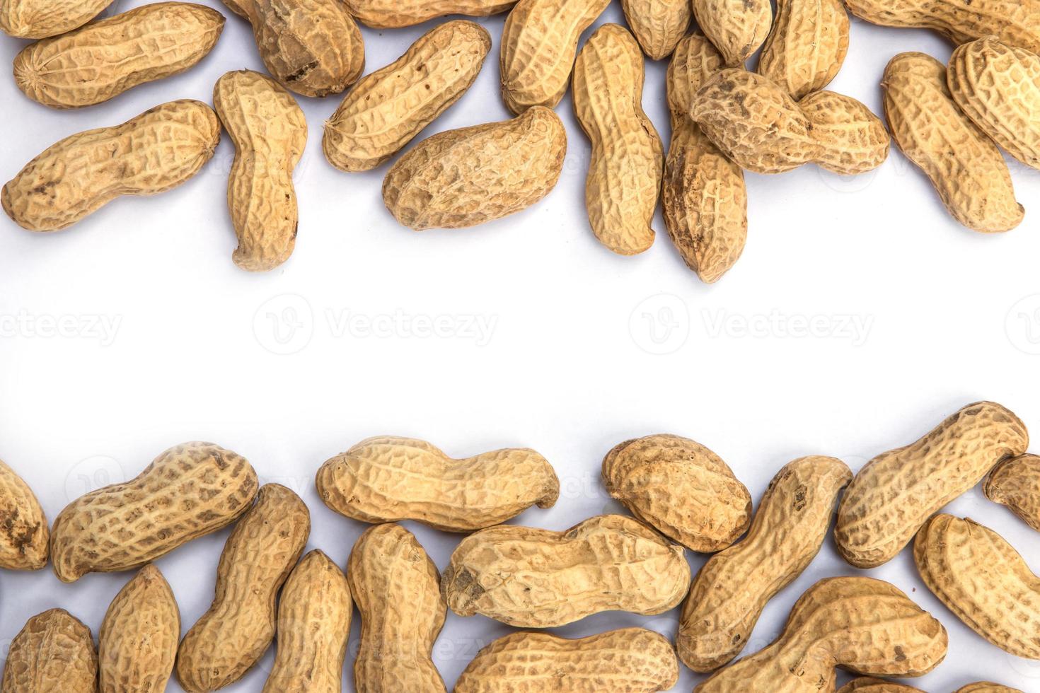 Dried peanuts in closeup on the white background photo