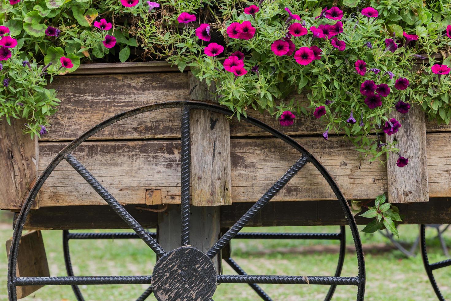 Flowers on the wagon photo