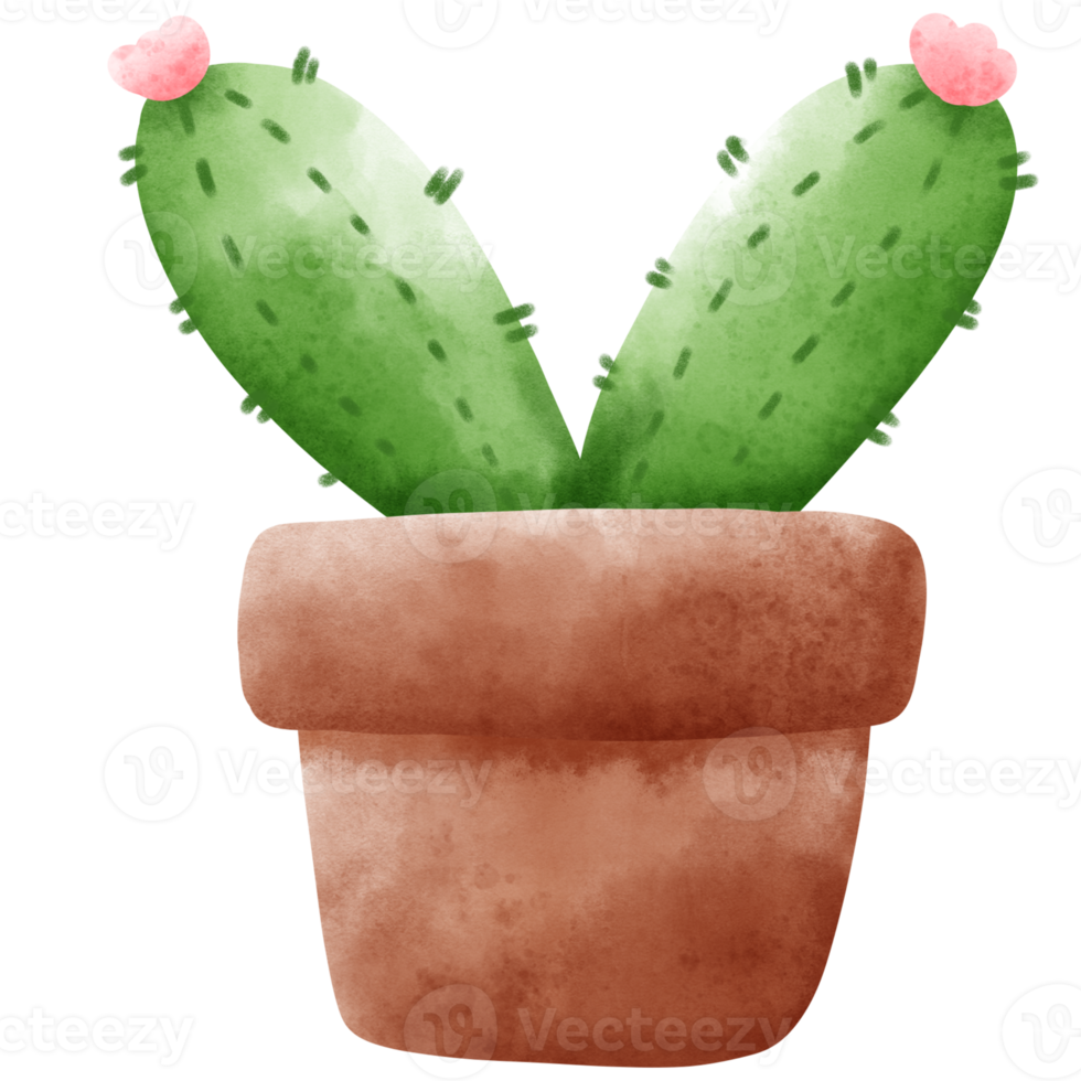 cactus acuarela en maceta png