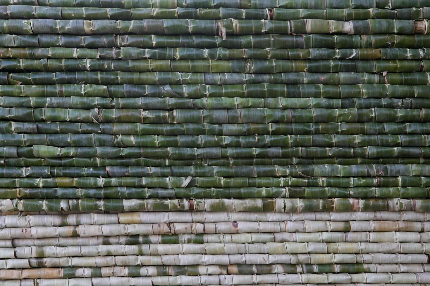 Pattern of Nipa palm photo