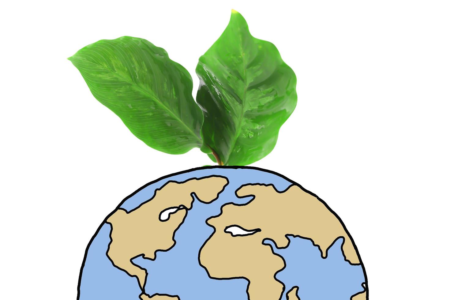 Symbolic image with green earth globe and leaves photo