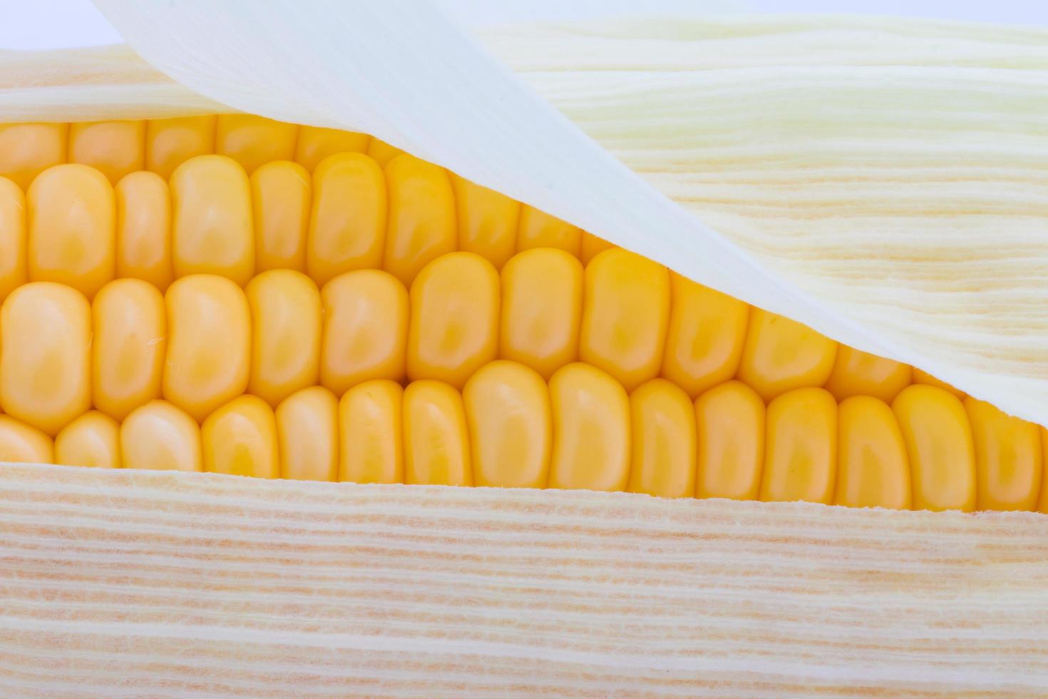 Grains of ripe corn macro image photo