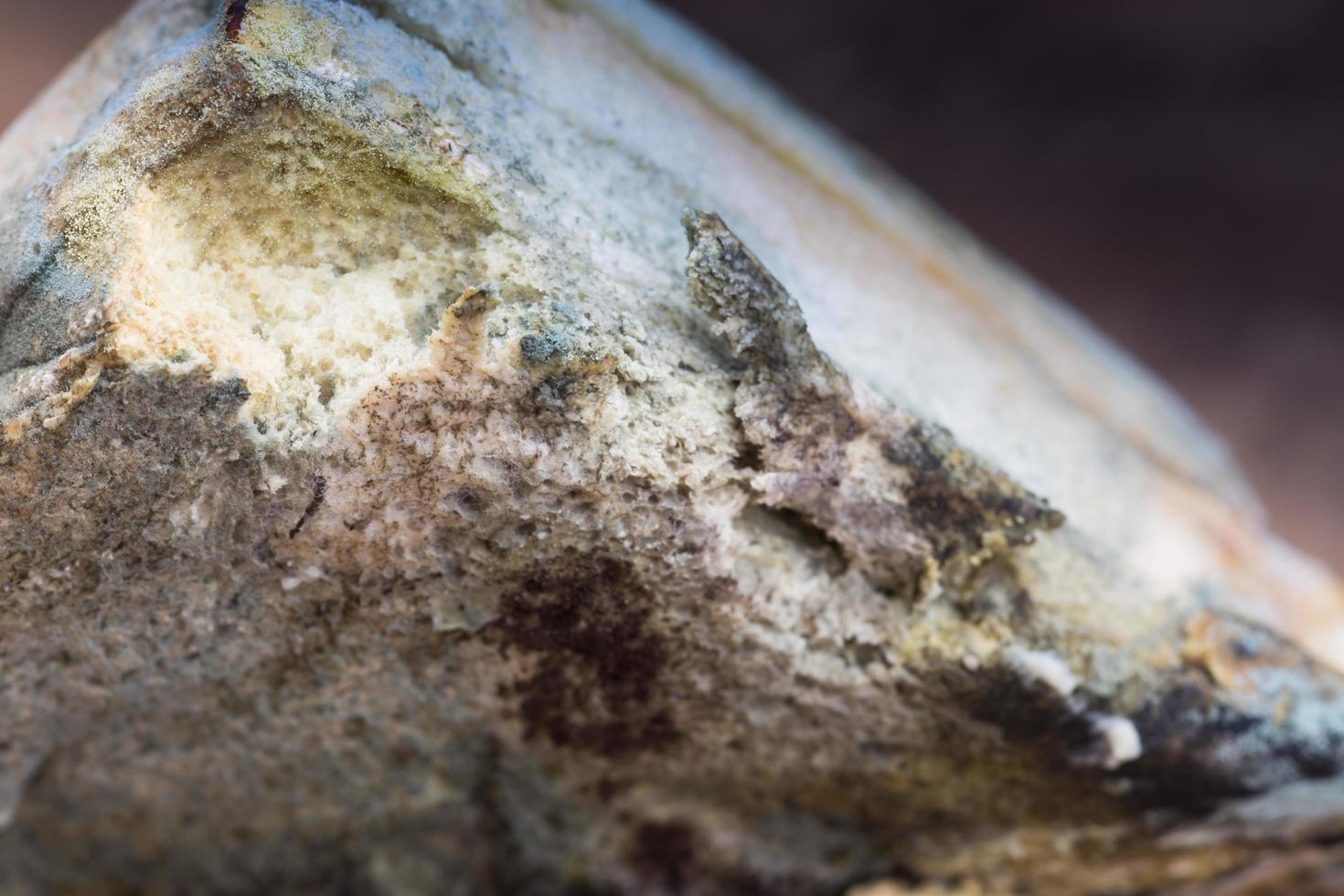 Mouldy bread on cutting board photo