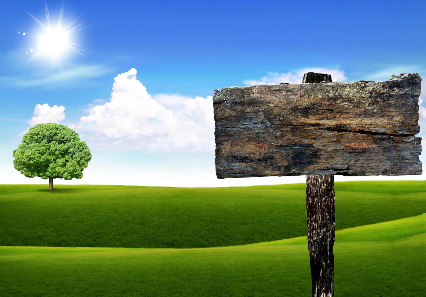 Wood sign with grass and blue sky photo