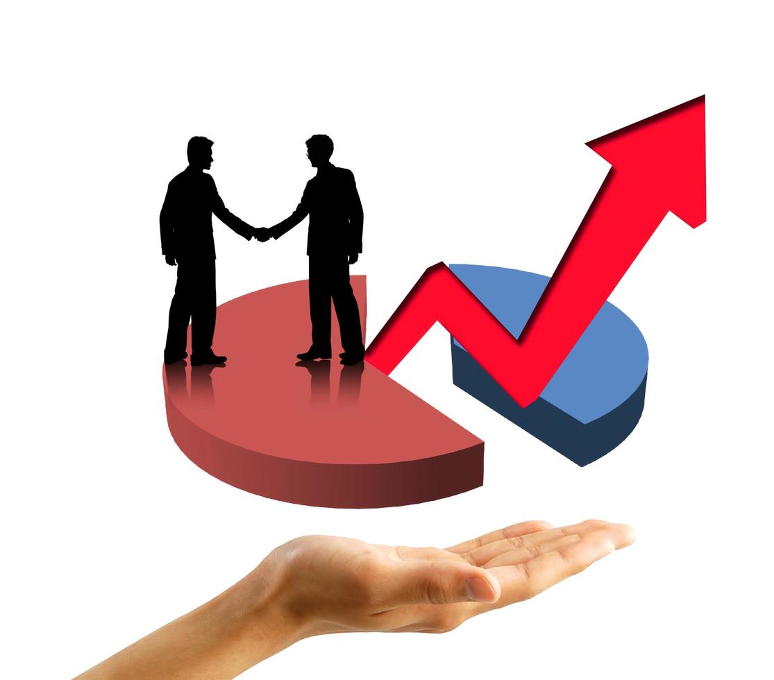 Business pie chart photo