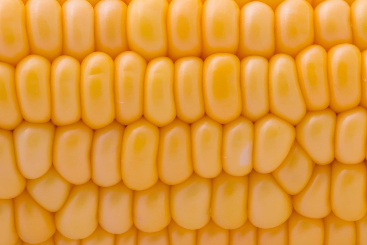 Grains of ripe corn macro image photo