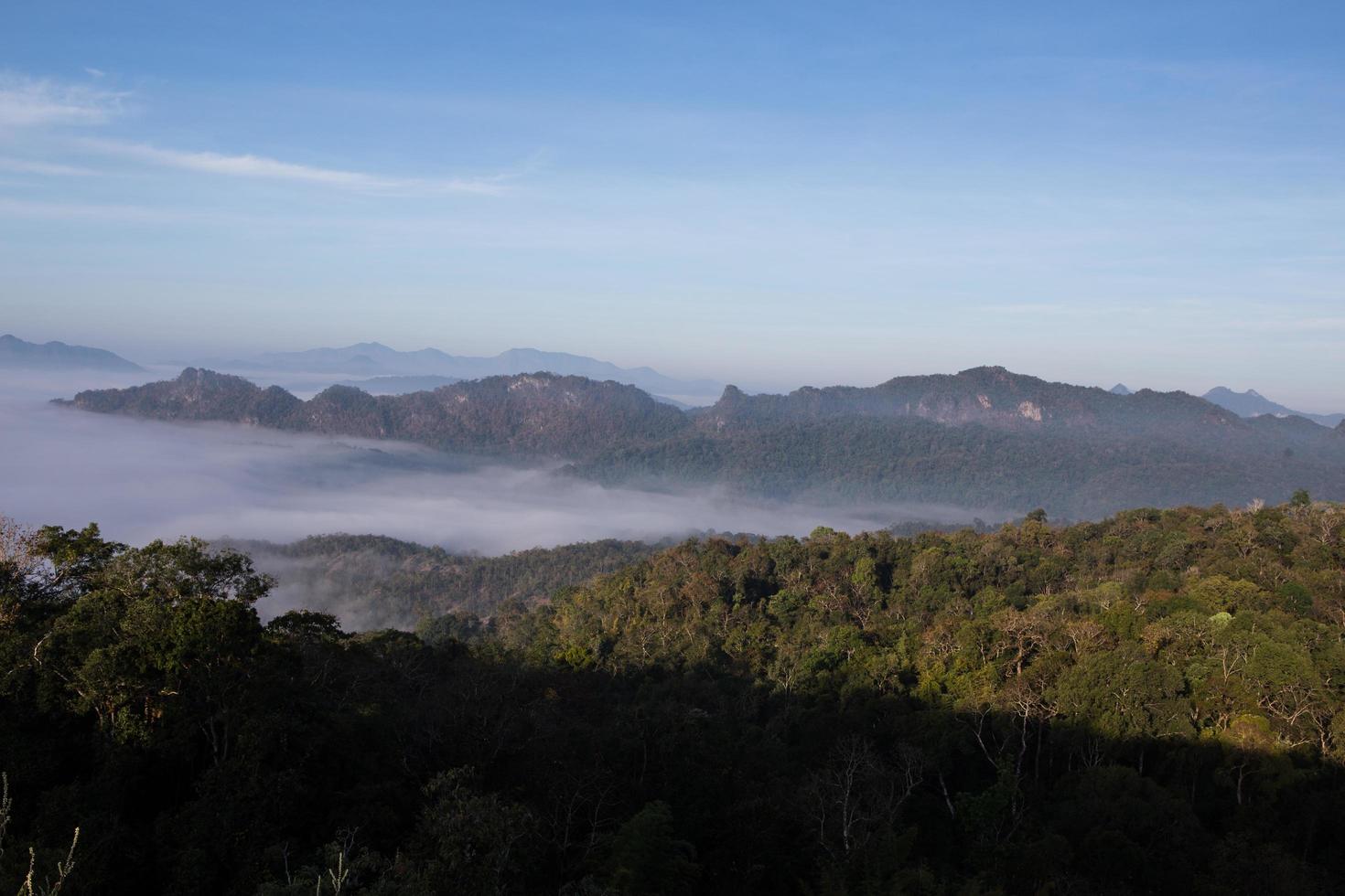 Fog mountain in the early morning sunrise photo