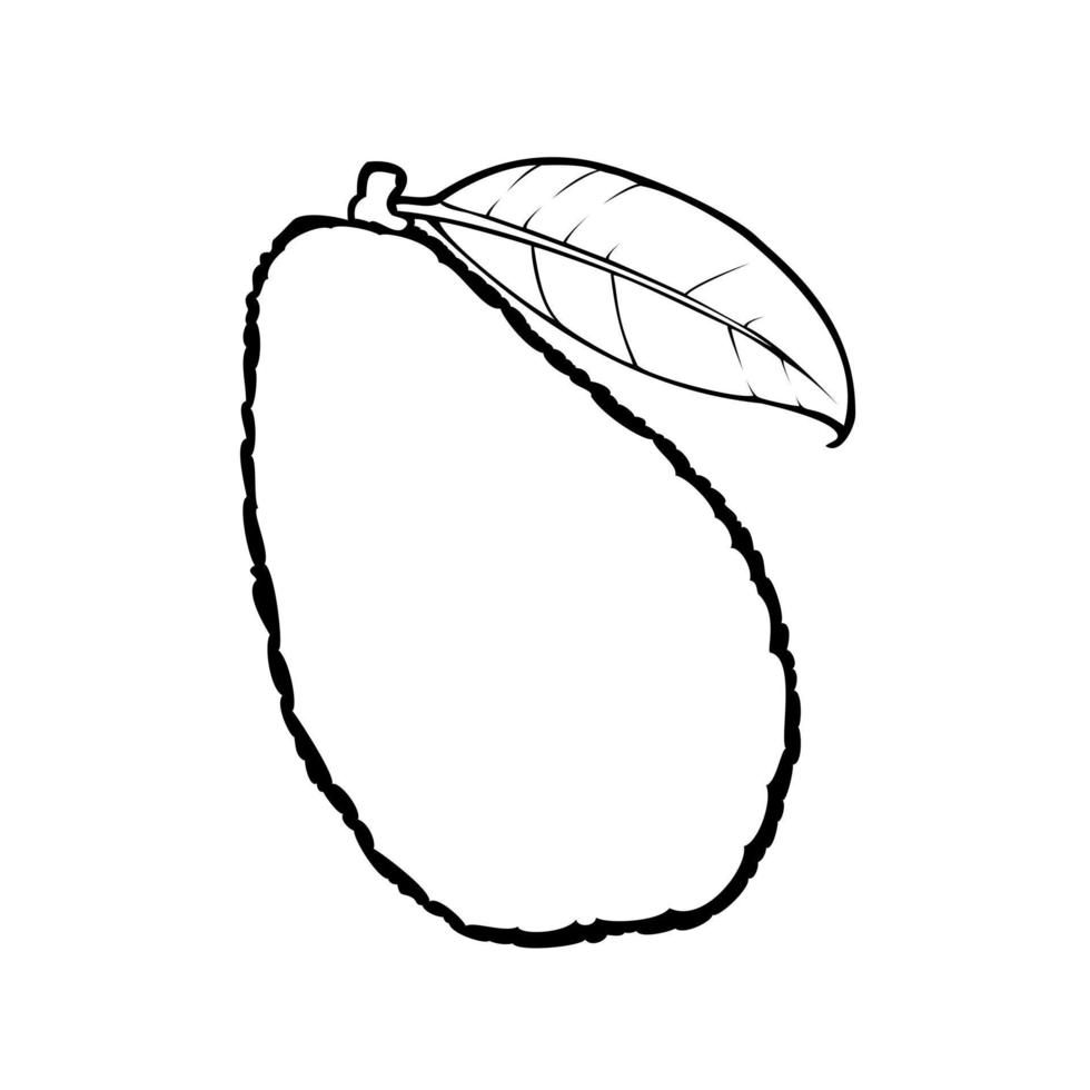 Monochrome picture, ripe avocado fruit with leaves, vector illustration on a white background