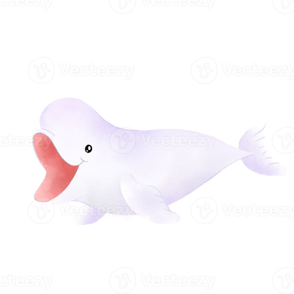 Beluga Whale Watercolor png