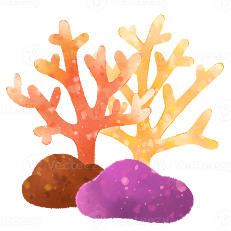 acuarela coral y roca png