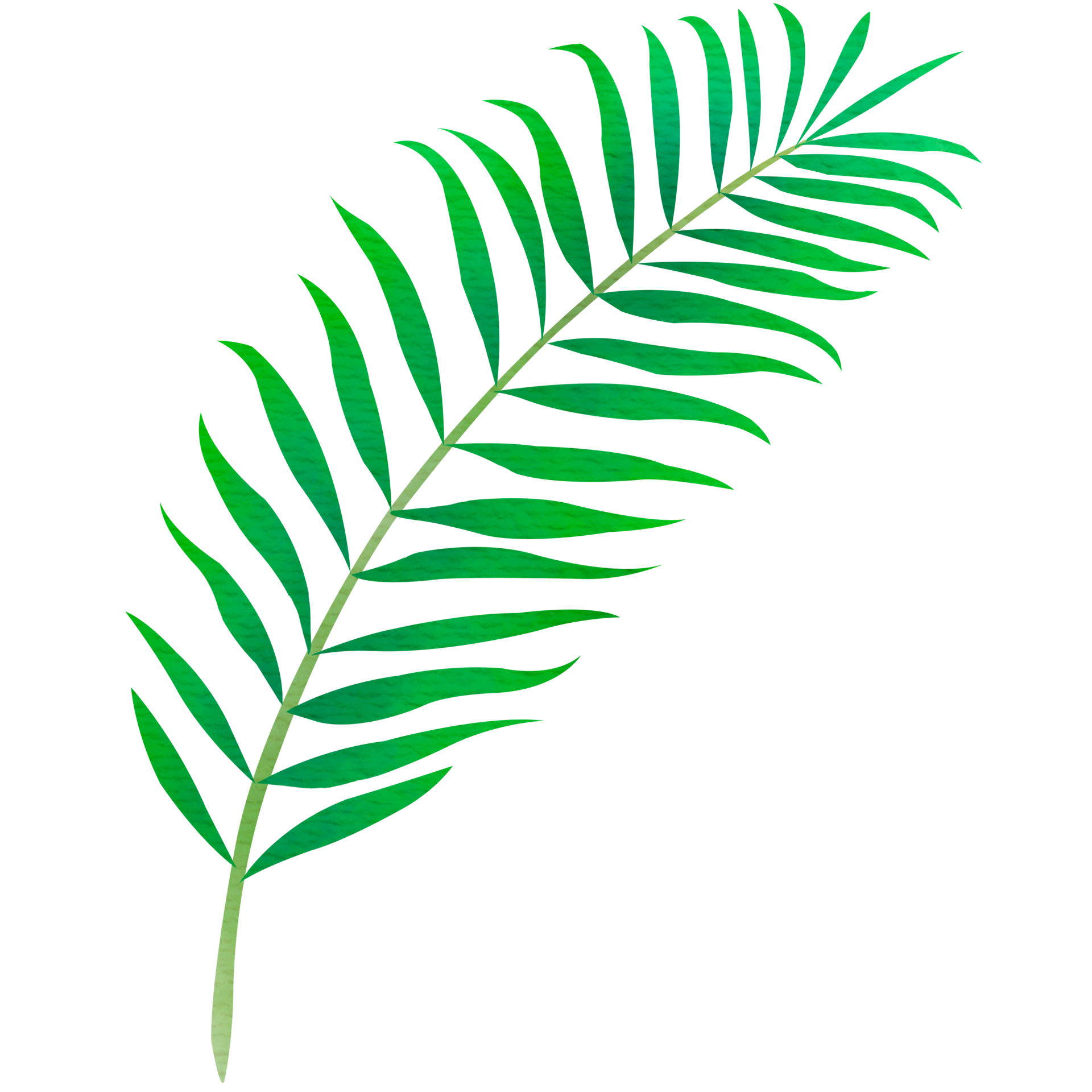 Long Leaves
