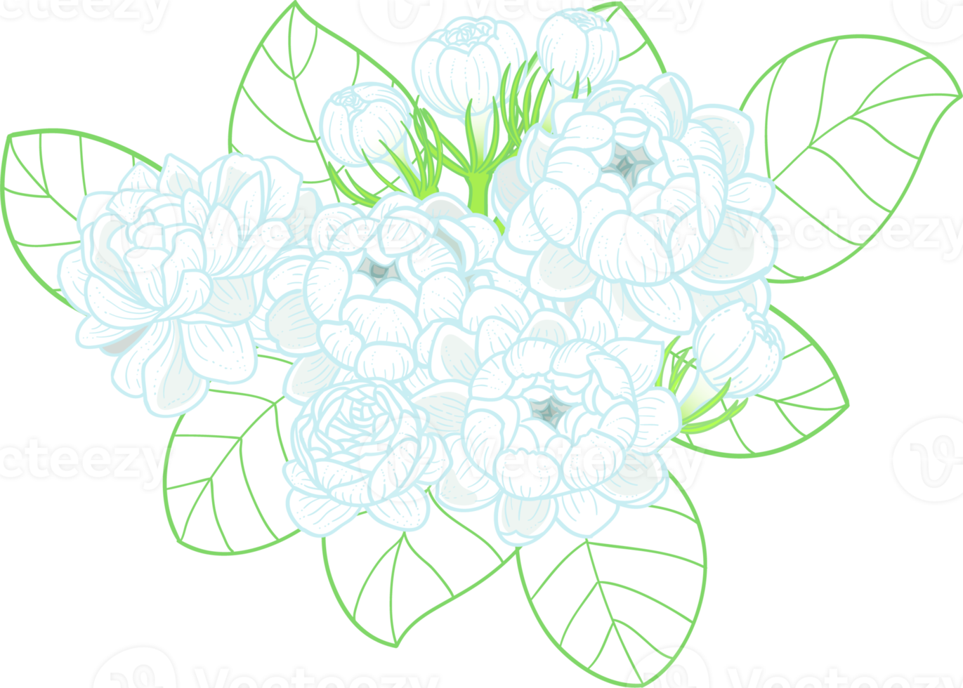 Jasmine Bouquet Flowers png