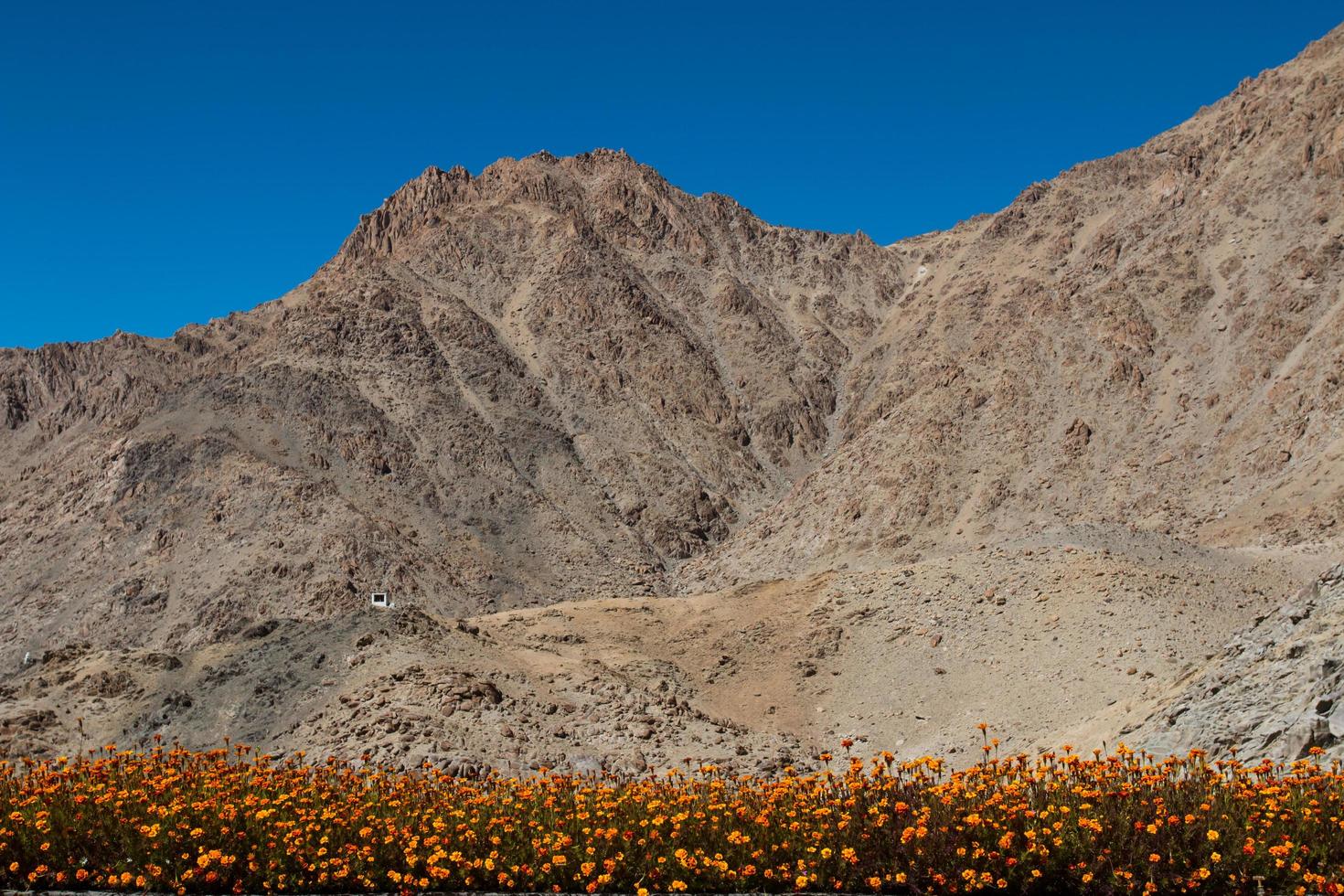 Snow mountain range, Leh Ladakh, India photo