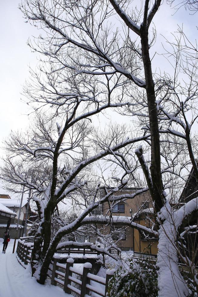 Japanese House with snow photo