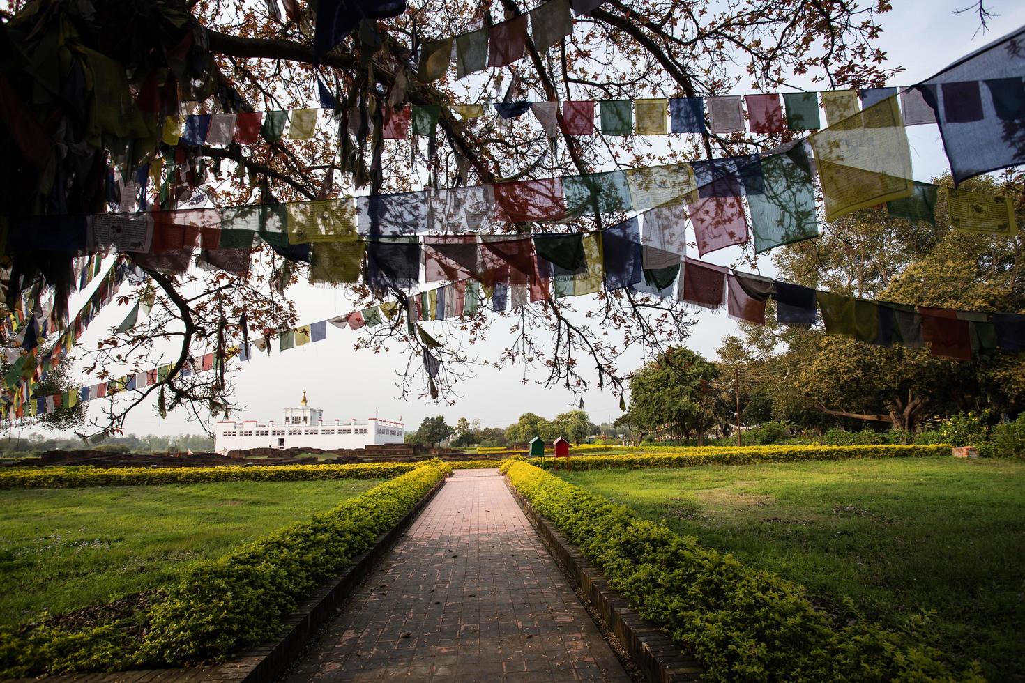 Buddhist praying flags in Lumbibi, Nepal photo