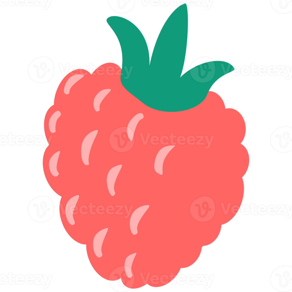 Blueberry fruit cartoon png