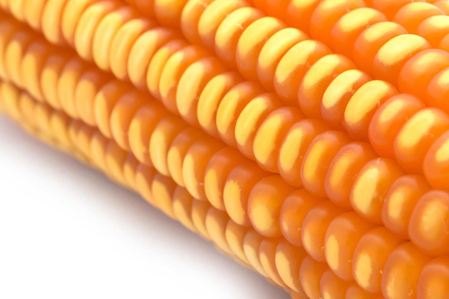 close up of the corn photo