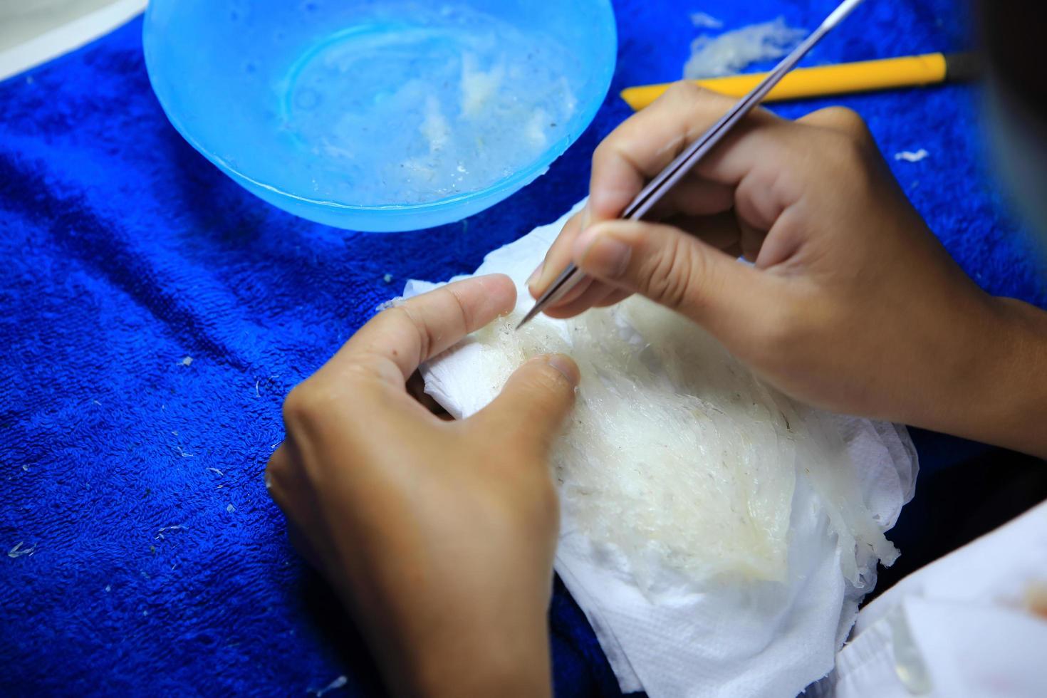 Edible bird's nest Process photo