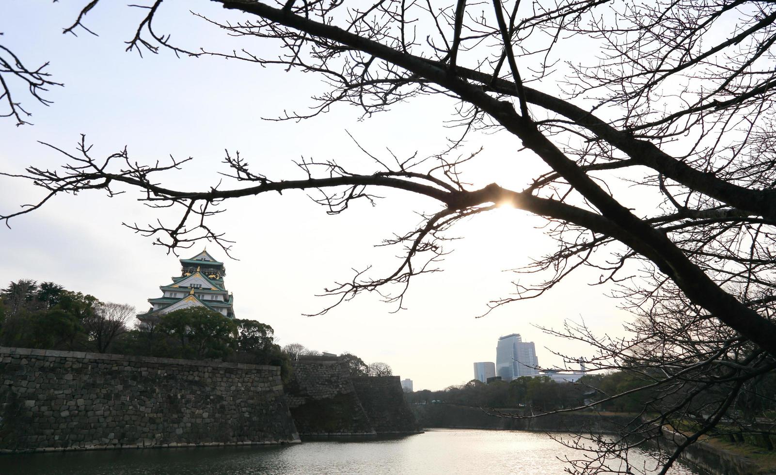 Osaka Castle in Osaka, Japan photo