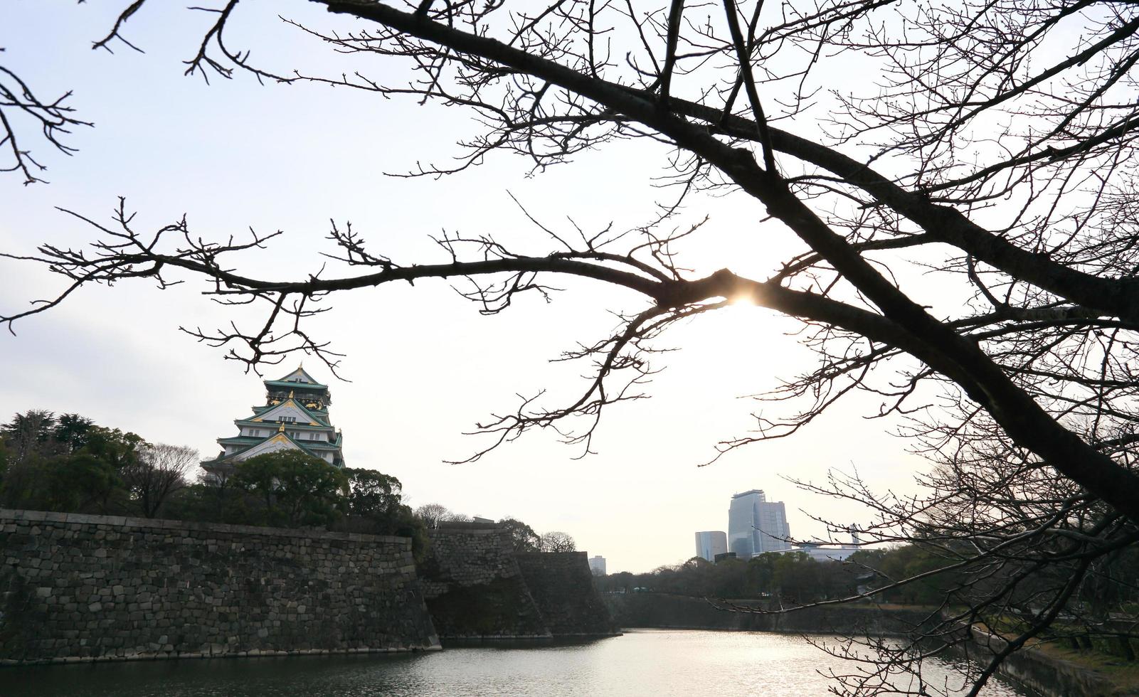 Castillo de Osaka en Osaka, Japón foto