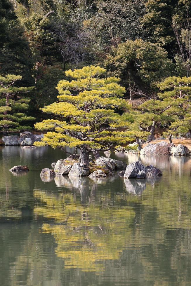 Japanese garden at famous Kinkakuji photo