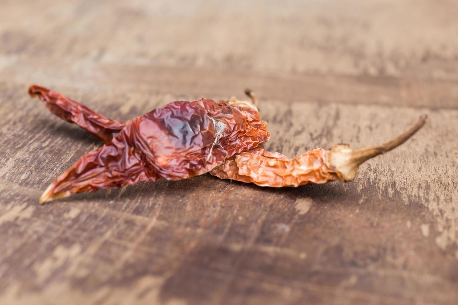 Closeup of the dried chili on the wood photo