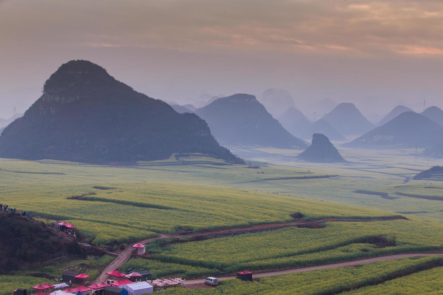 Yellow rapeseed flower field with the mist in Luoping, China photo