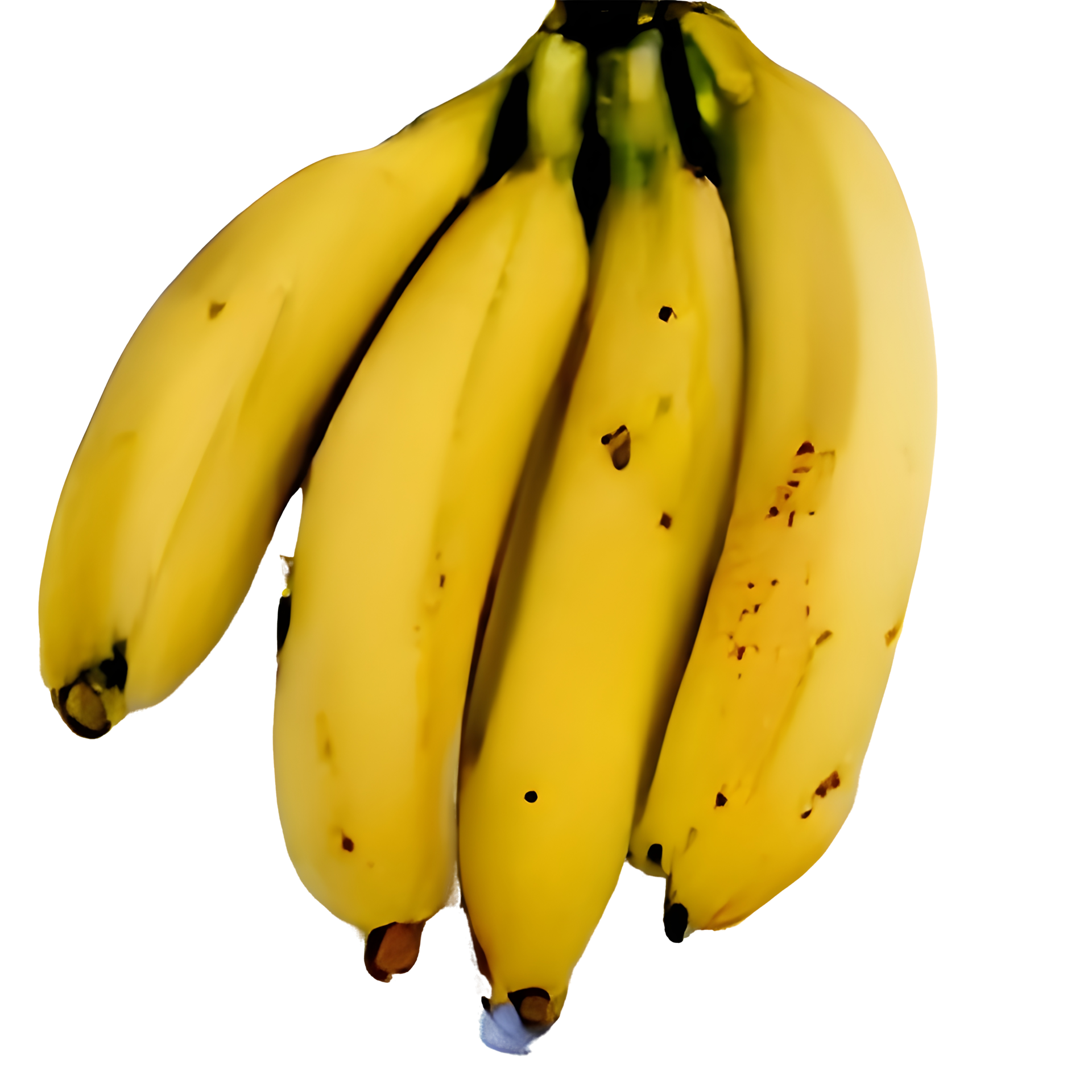 banana png with clipping path and full depth of field. 9588730 PNG