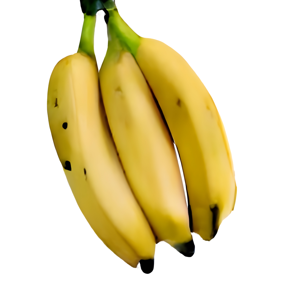banana png with clipping path and full depth of field.