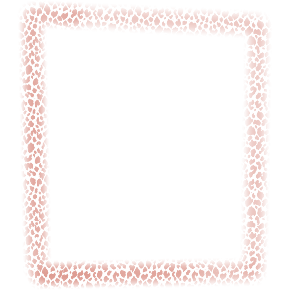 square frames in leopard color. png