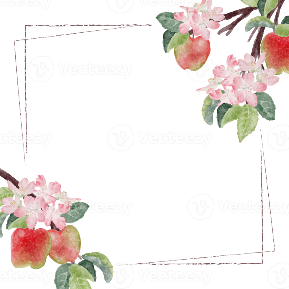 cornice di fiori e frutta di mela dell'acquerello png