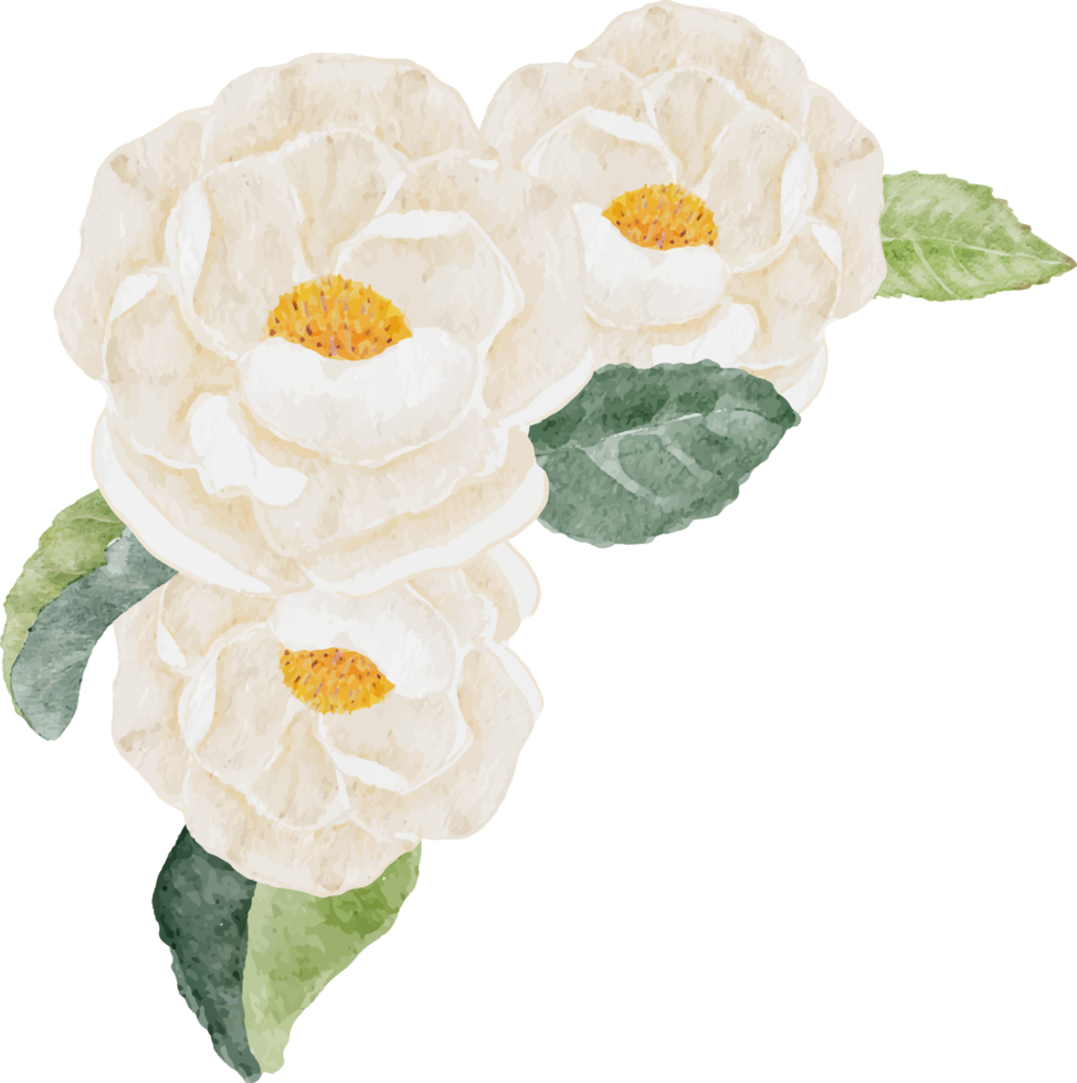 aquarel witte camelia en paarse hortensia bloemboeket png