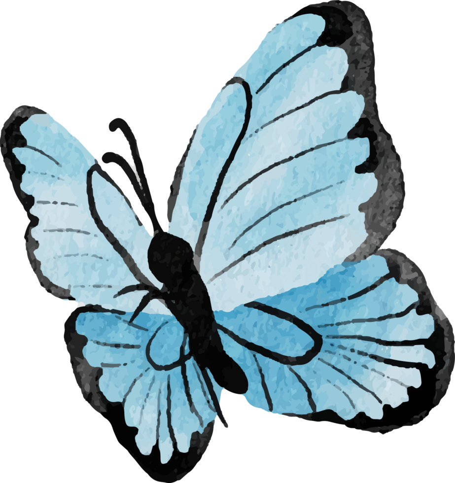 watercolor hand drawn colorful butterfly png