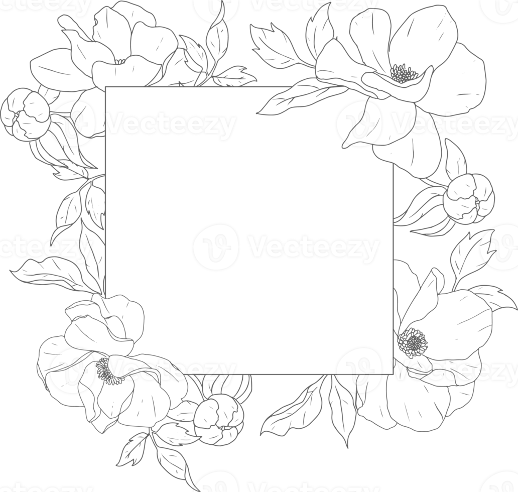doodle line art peony flower bouquet wreath frame elements png
